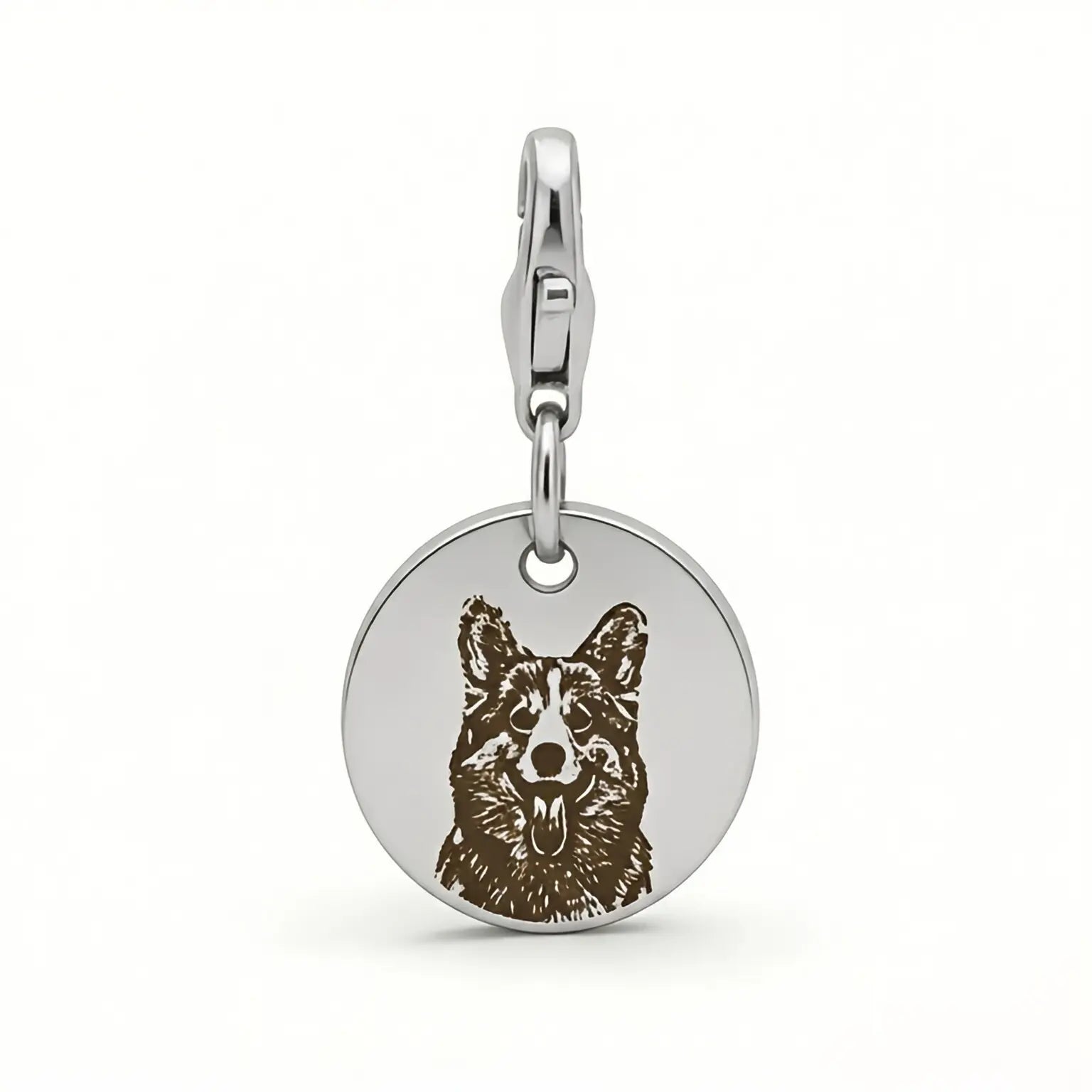 Describes the appearance of the image